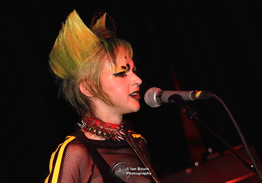 Pussycat and The Dirty Johnsons: pic by Ian Bourn for Scene Sussex