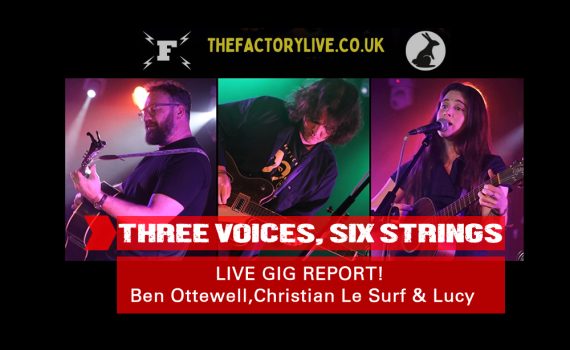 The Factory Live: Photo by Ian Bourn for Scene Sussex