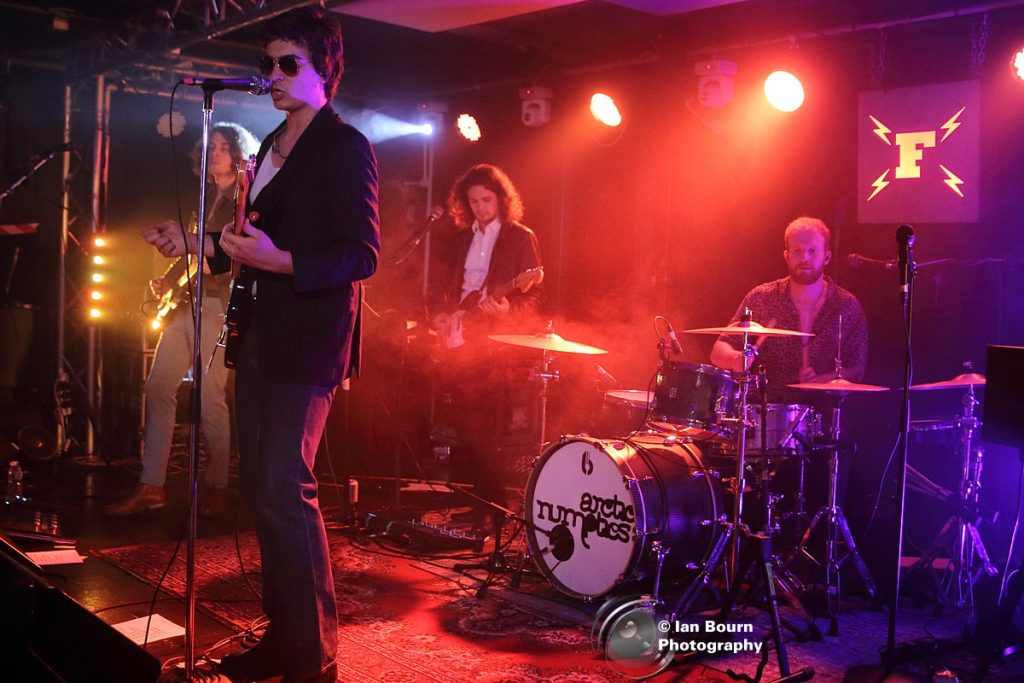 The Arctic Numpties: Photo by Ian Bourn for Scene Sussex